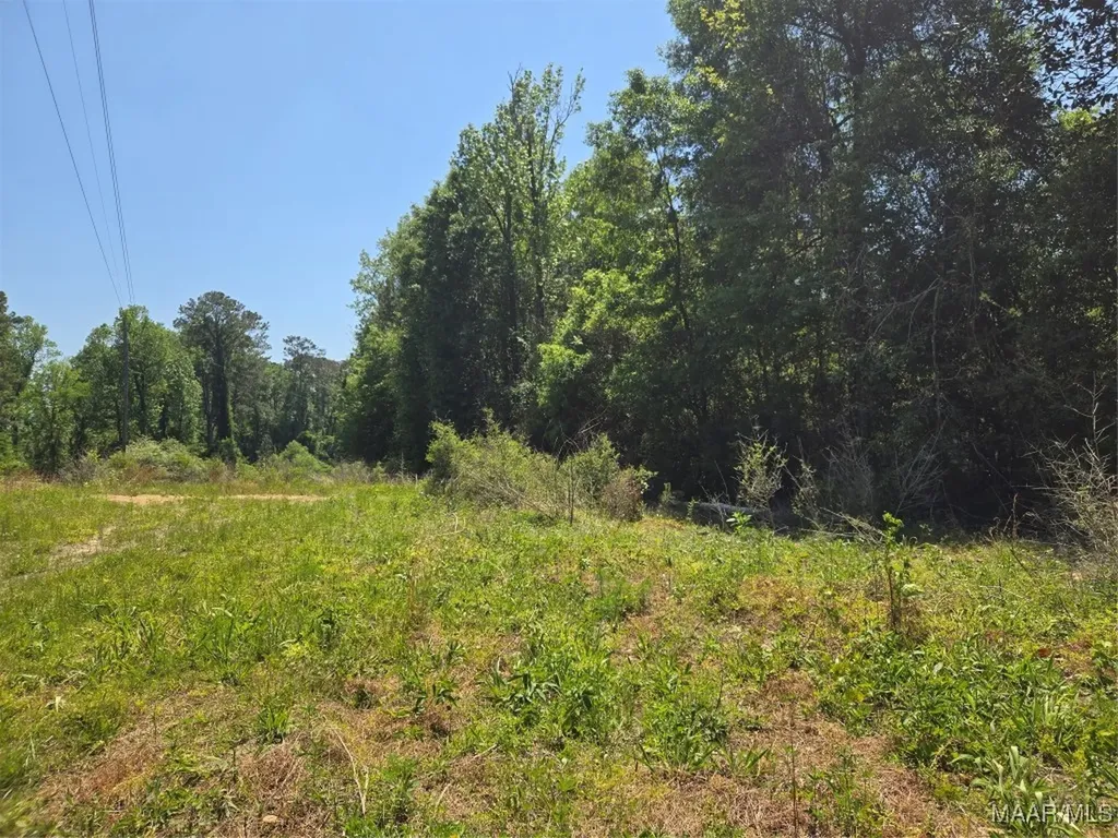 0 Highway 203 Elba AL 36323