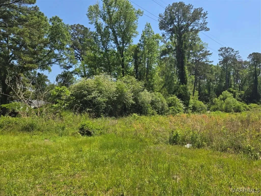 0 Highway 203 Elba AL 36323