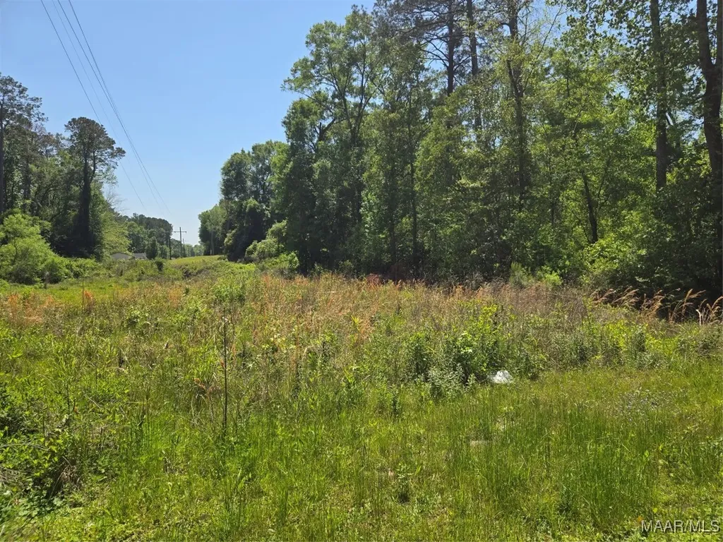 0 Highway 203 Elba AL 36323