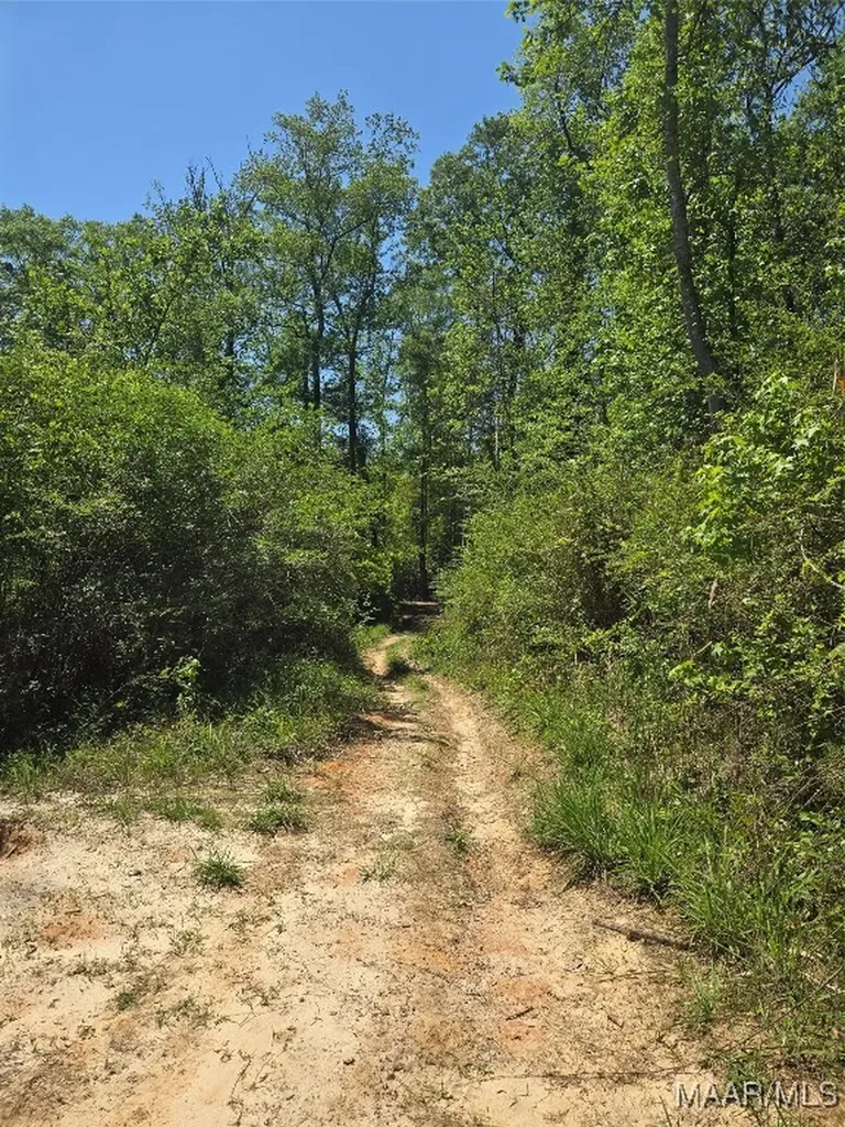 0 Highway 203 Elba AL 36323