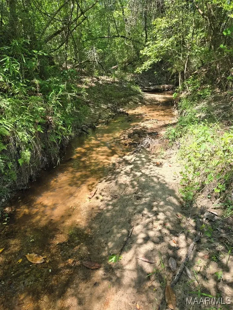 0 Highway 203 Elba AL 36323