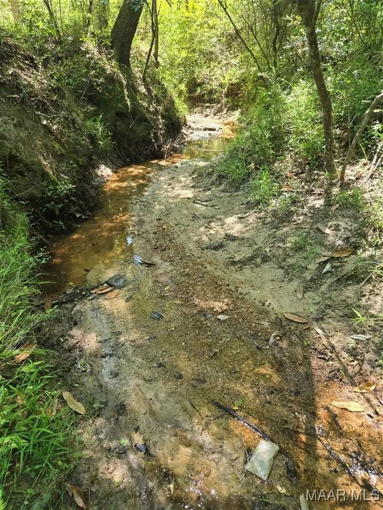 0 Highway 203 Elba AL 36323