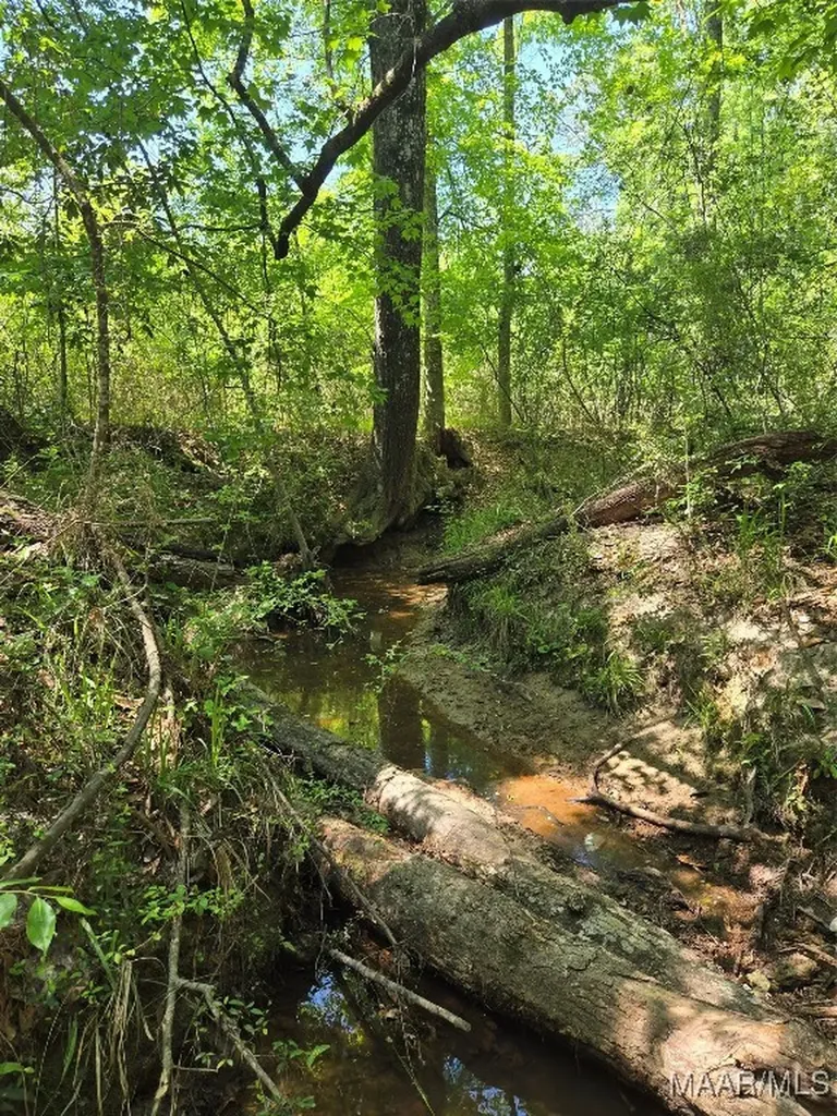 0 Highway 203 Elba AL 36323