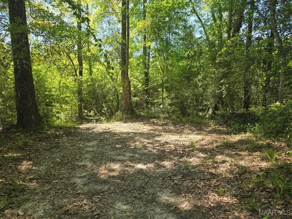 0 Highway 203 Elba AL 36323