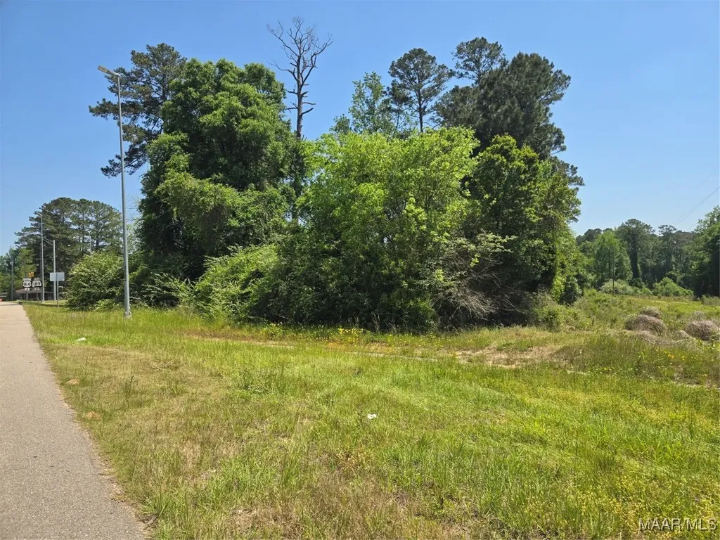 0 Highway 203 Elba AL 36323