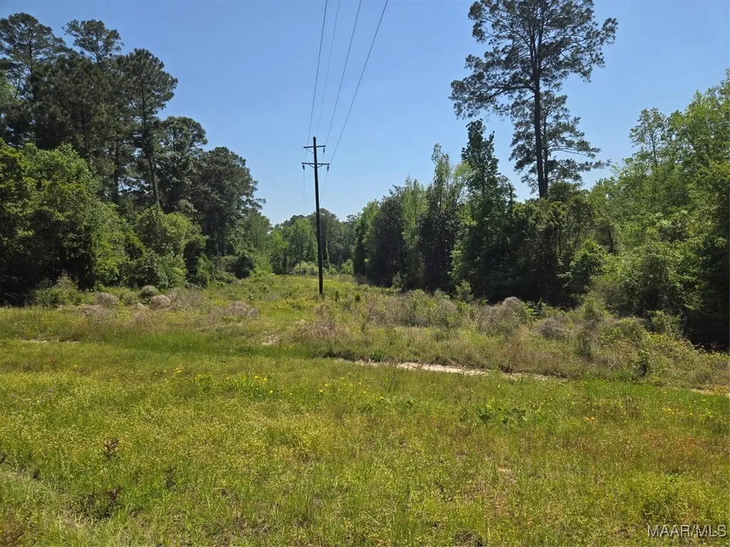 0 Highway 203 Elba AL 36323