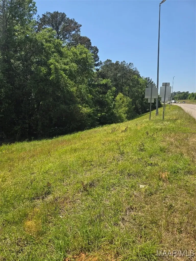 0 Highway 203 Elba AL 36323