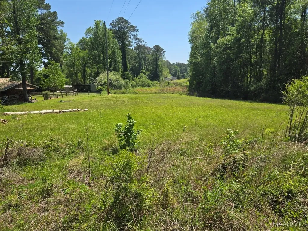 0 Highway 203 Elba AL 36323