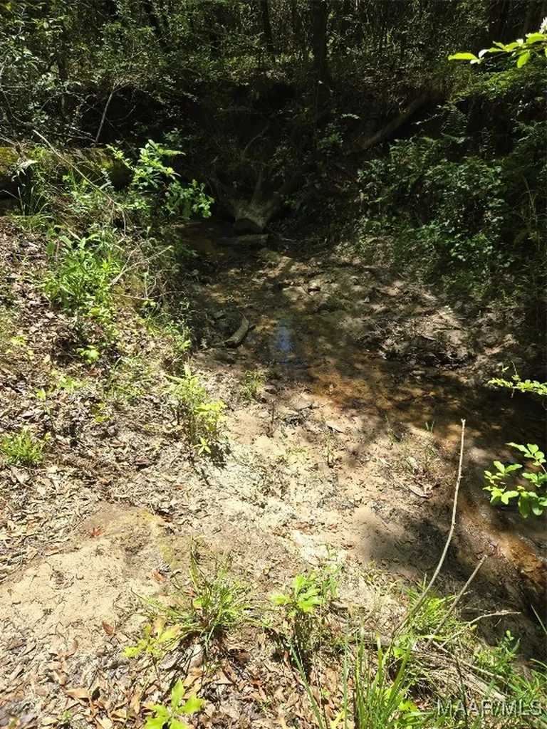 0 Highway 203 Elba AL 36323