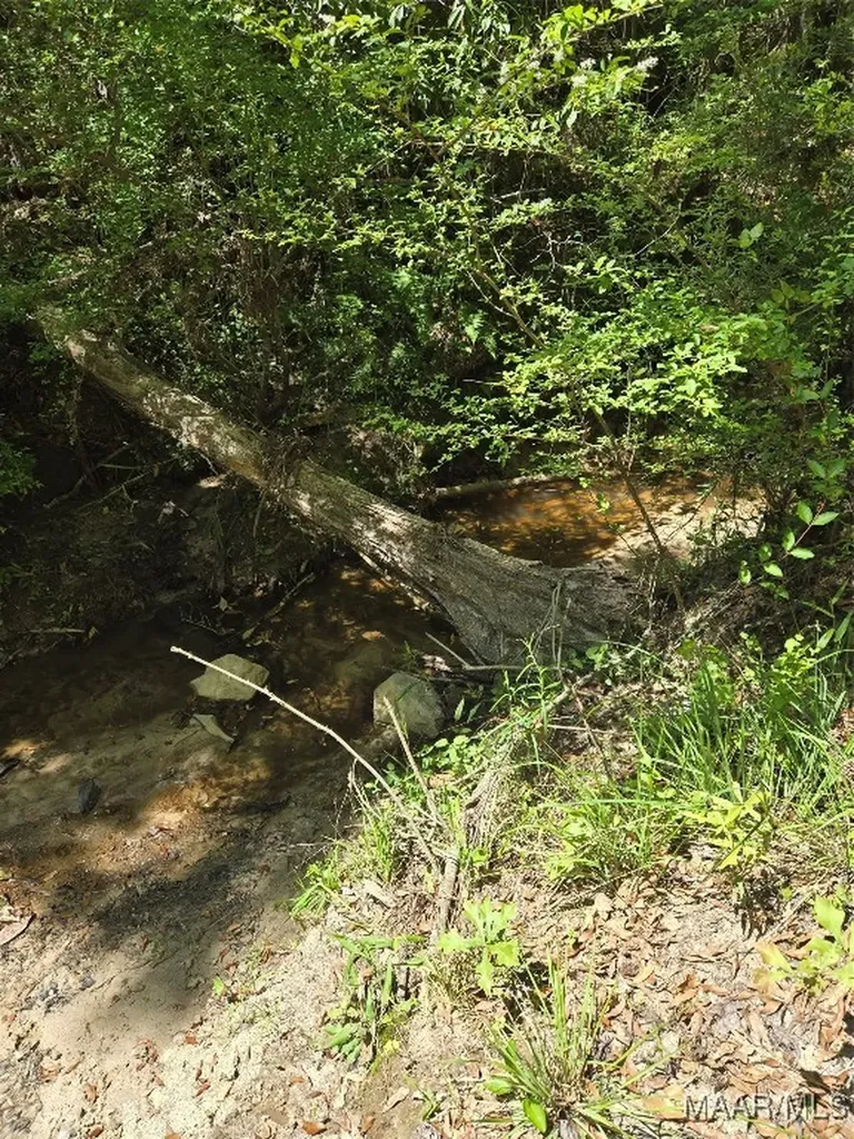 0 Highway 203 Elba AL 36323