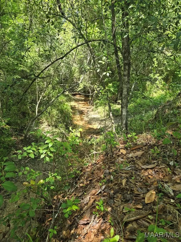 0 Highway 203 Elba AL 36323