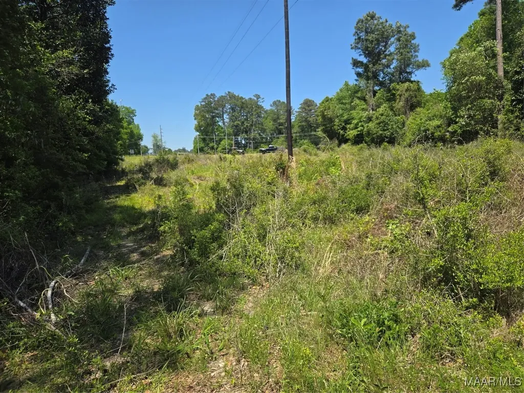 0 Highway 203 Elba AL 36323