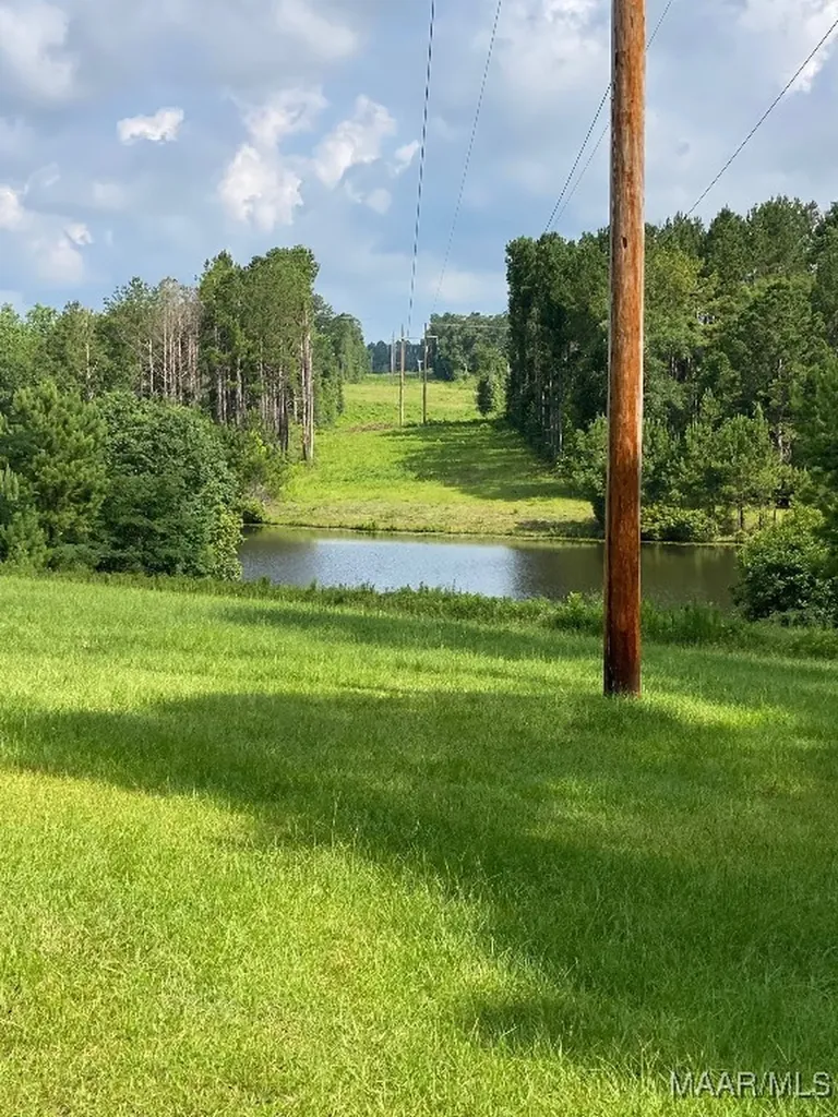 27070 County Road 21 Red Level AL 36374