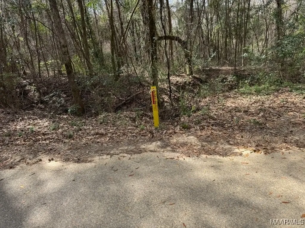 0 Davis Street E Elba AL 36323