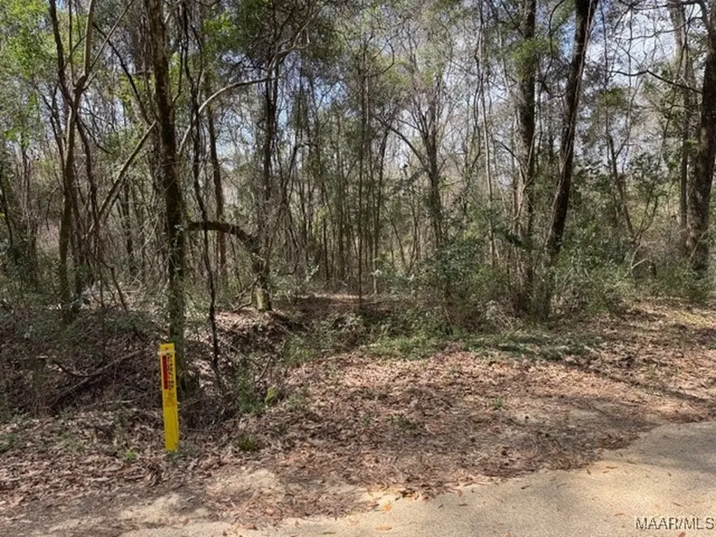 0 Davis Street E Elba AL 36323