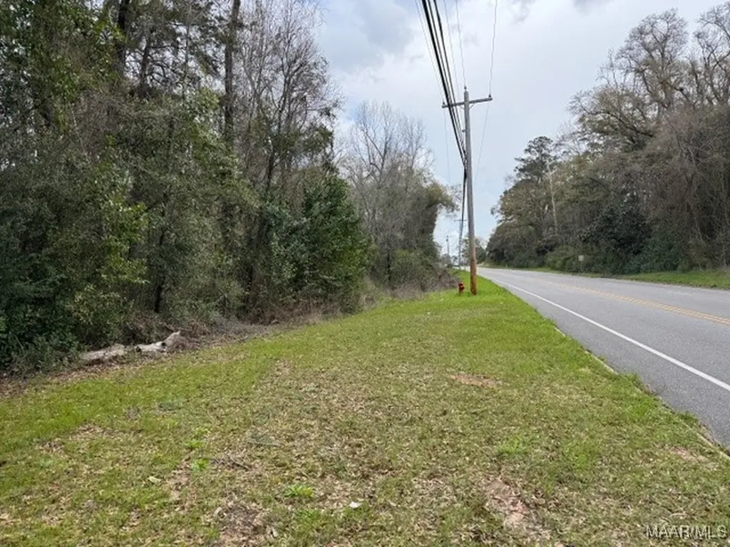 0 Davis Street E Elba AL 36323