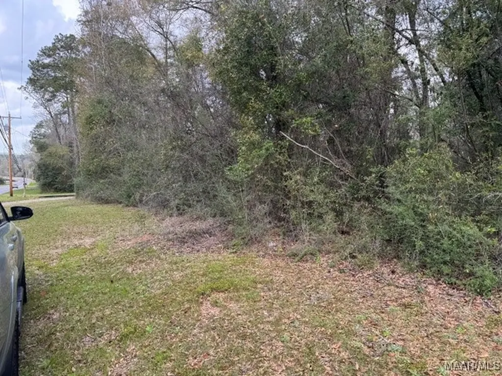 0 Davis Street E Elba AL 36323