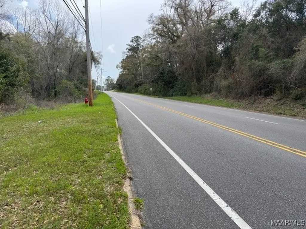 0 Davis Street E Elba AL 36323