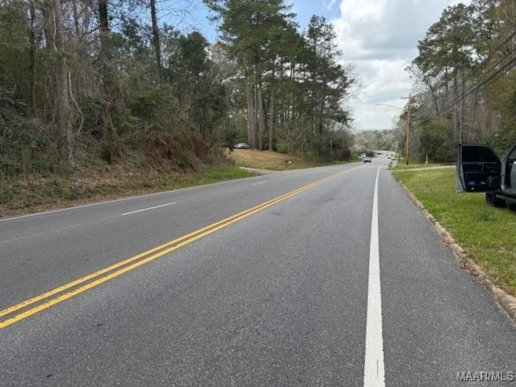 0 Davis Street E Elba AL 36323