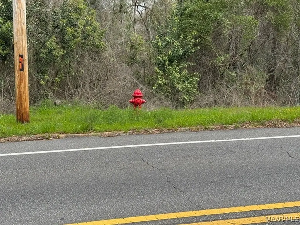 0 Davis Street E Elba AL 36323