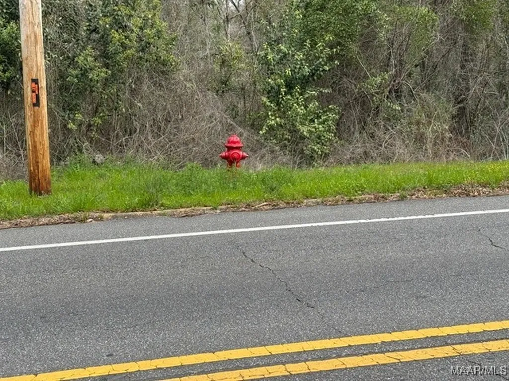 0 Davis Street E Elba AL 36323