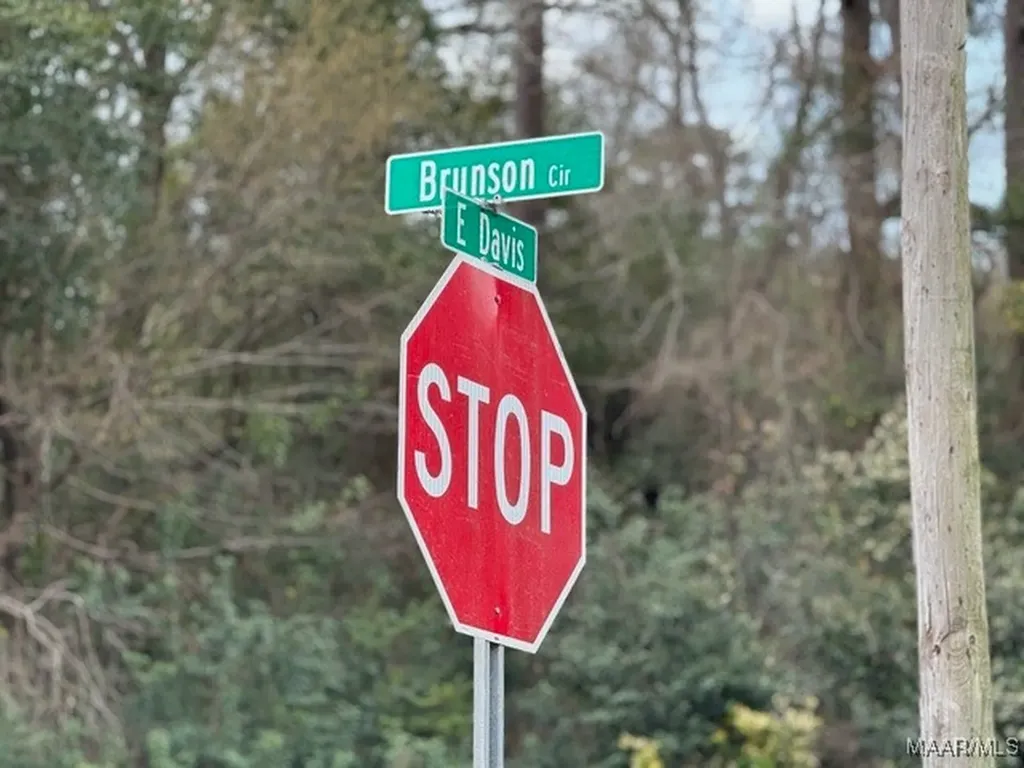 0 Davis Street E Elba AL 36323