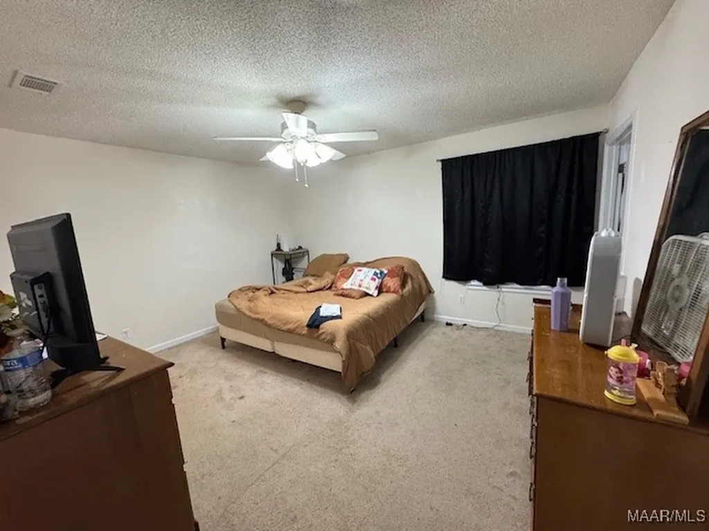 428 Oakdale Avenue Geneva AL 36340