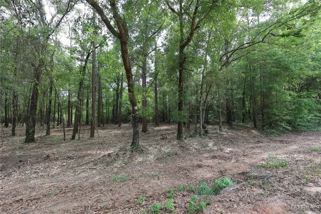 1986 County Road 156 Enterprise AL 36330