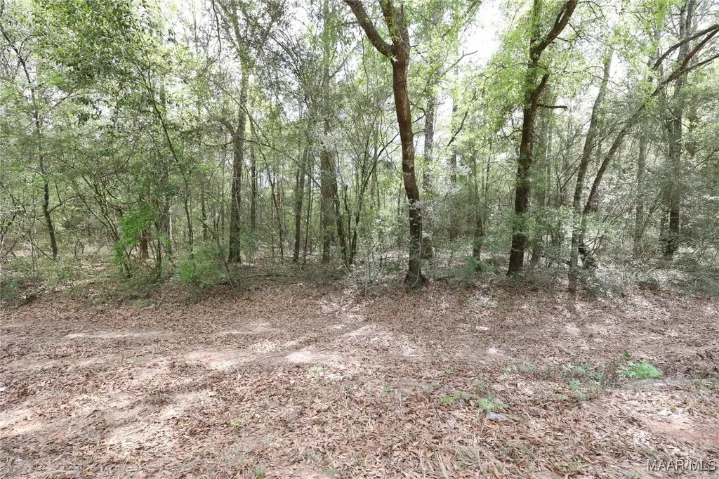 1986 County Road 156 Enterprise AL 36330