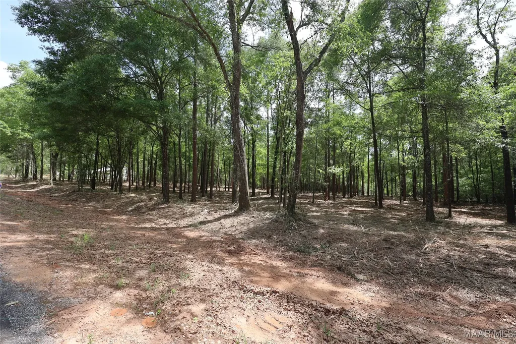 2024 County Road 156 Enterprise AL 36330