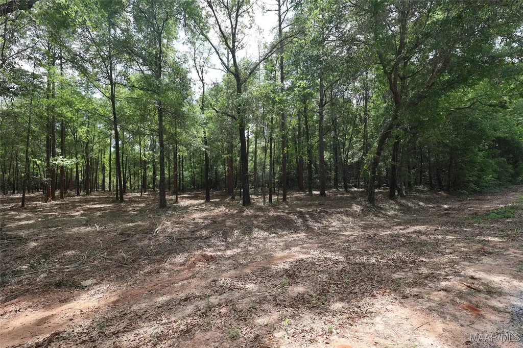 2024 County Road 156 Enterprise AL 36330