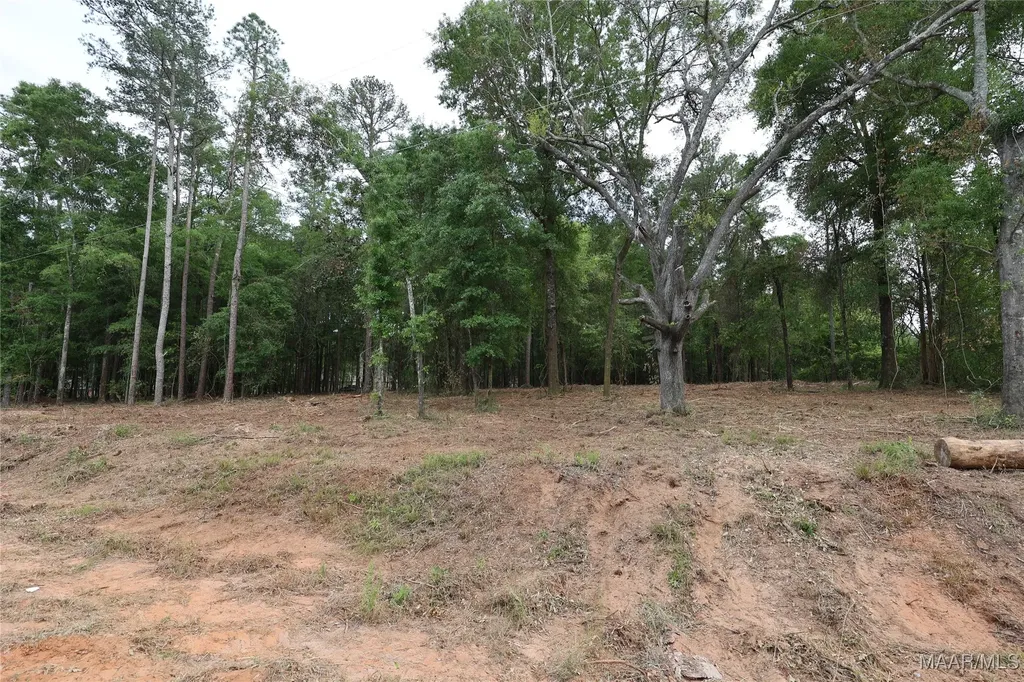 2024 County Road 156 Enterprise AL 36330