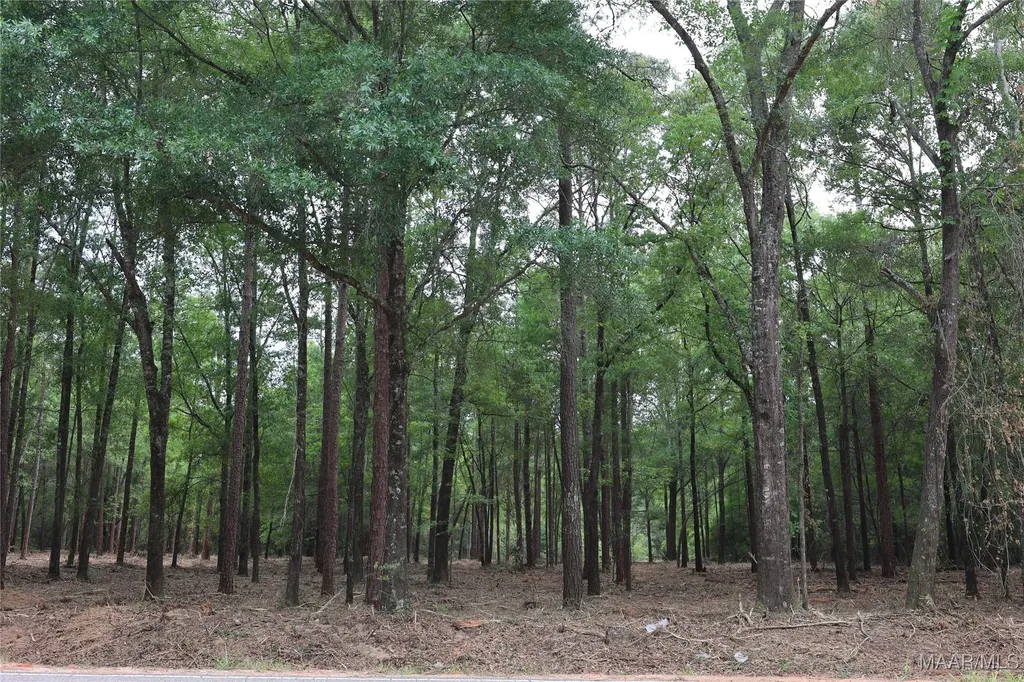 2024 County Road 156 Enterprise AL 36330