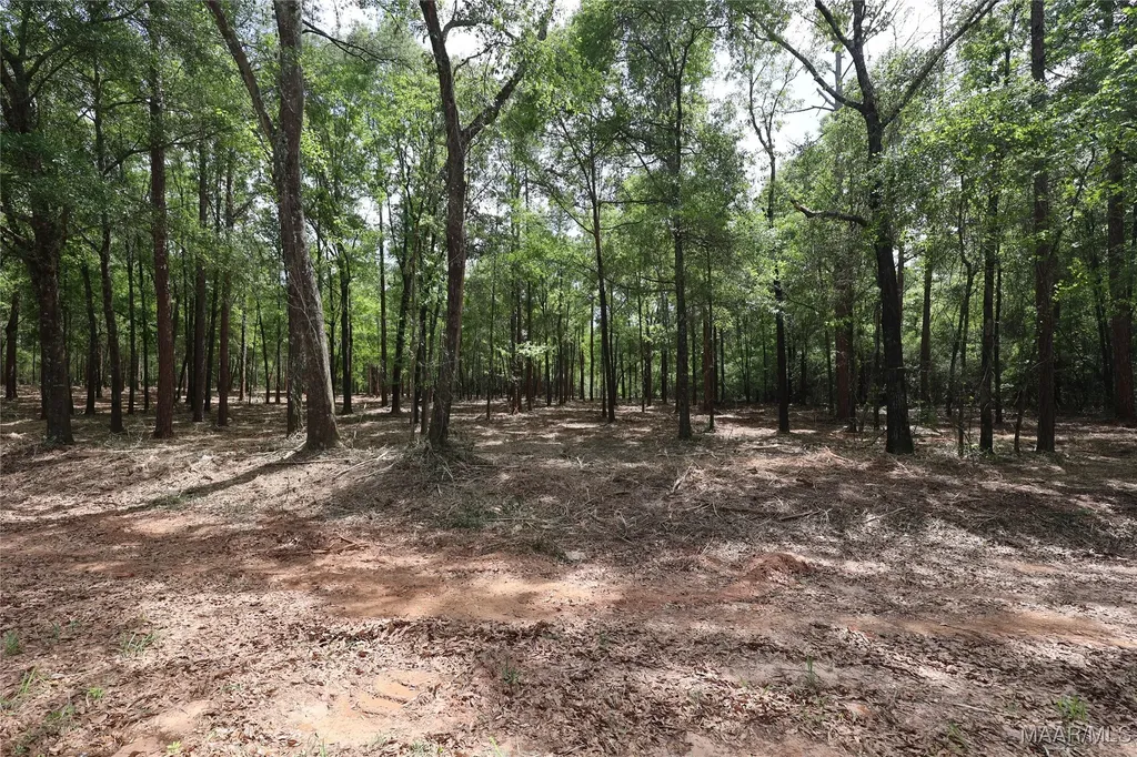 2190 County Road 156 Enterprise AL 36330