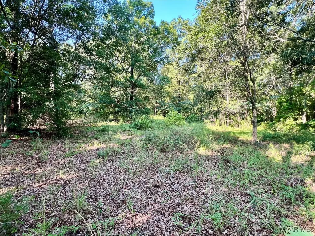 3 Thornberry Place Ashford AL 36312