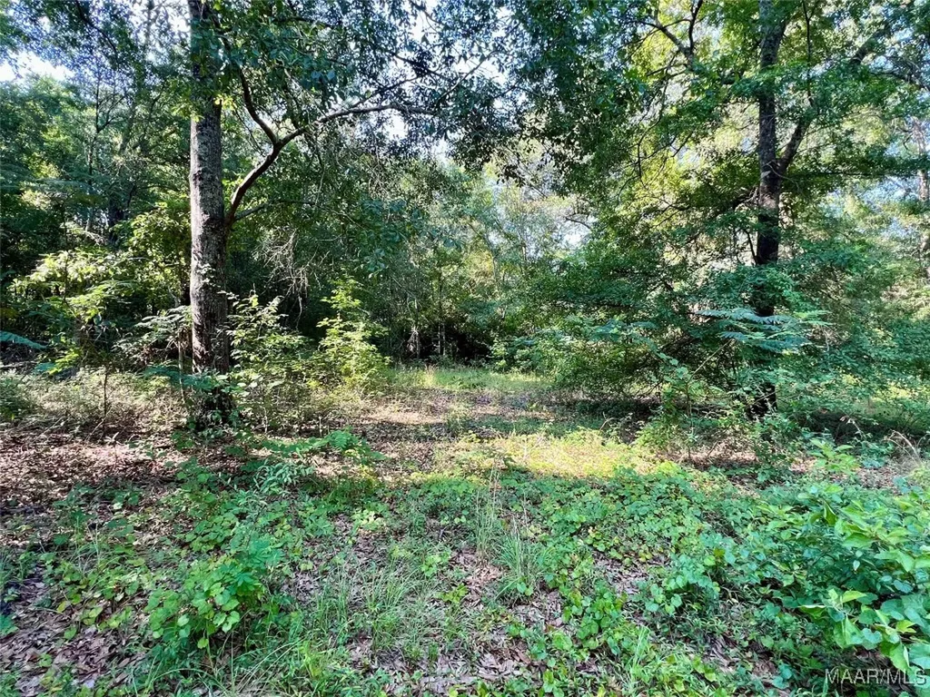 3 Thornberry Place Ashford AL 36312