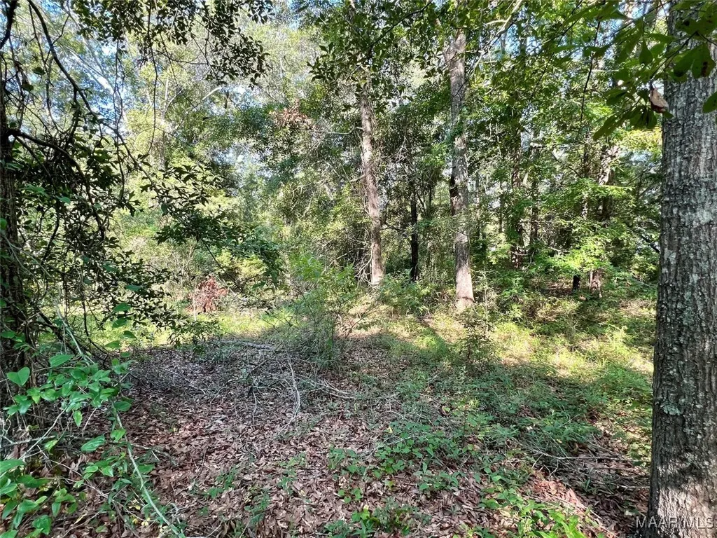 3 Thornberry Place Ashford AL 36312