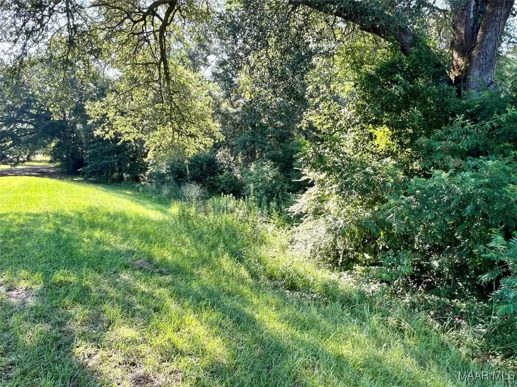 3 Thornberry Place Ashford AL 36312