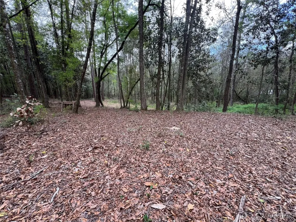 0 Driftwood Lane Andalusia AL 36421