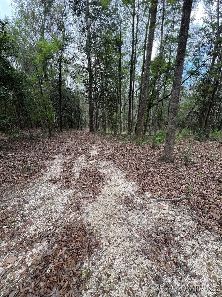 0 Driftwood Lane Andalusia AL 36421