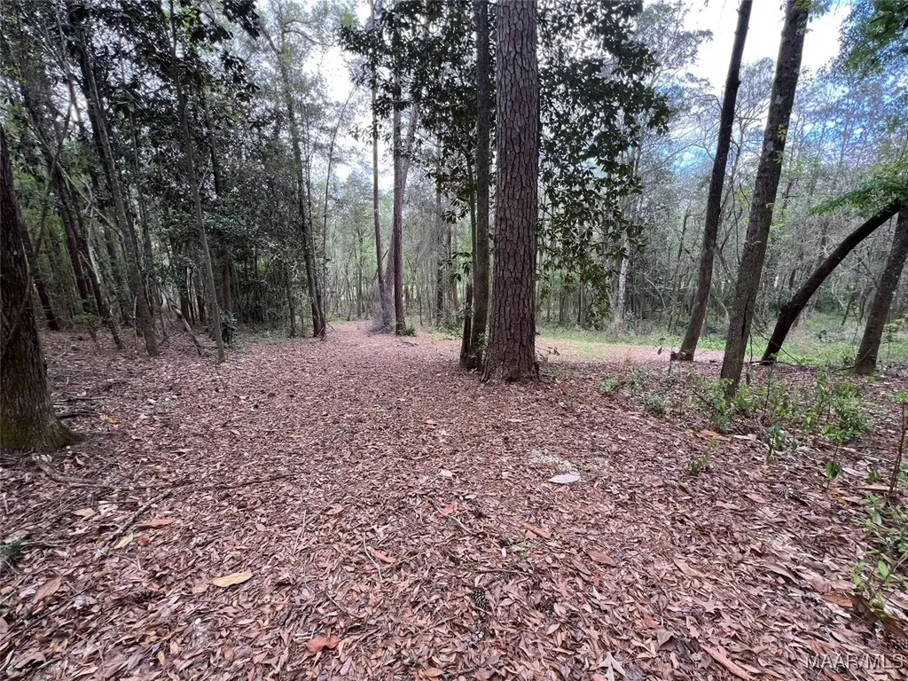0 Driftwood Lane Andalusia AL 36421