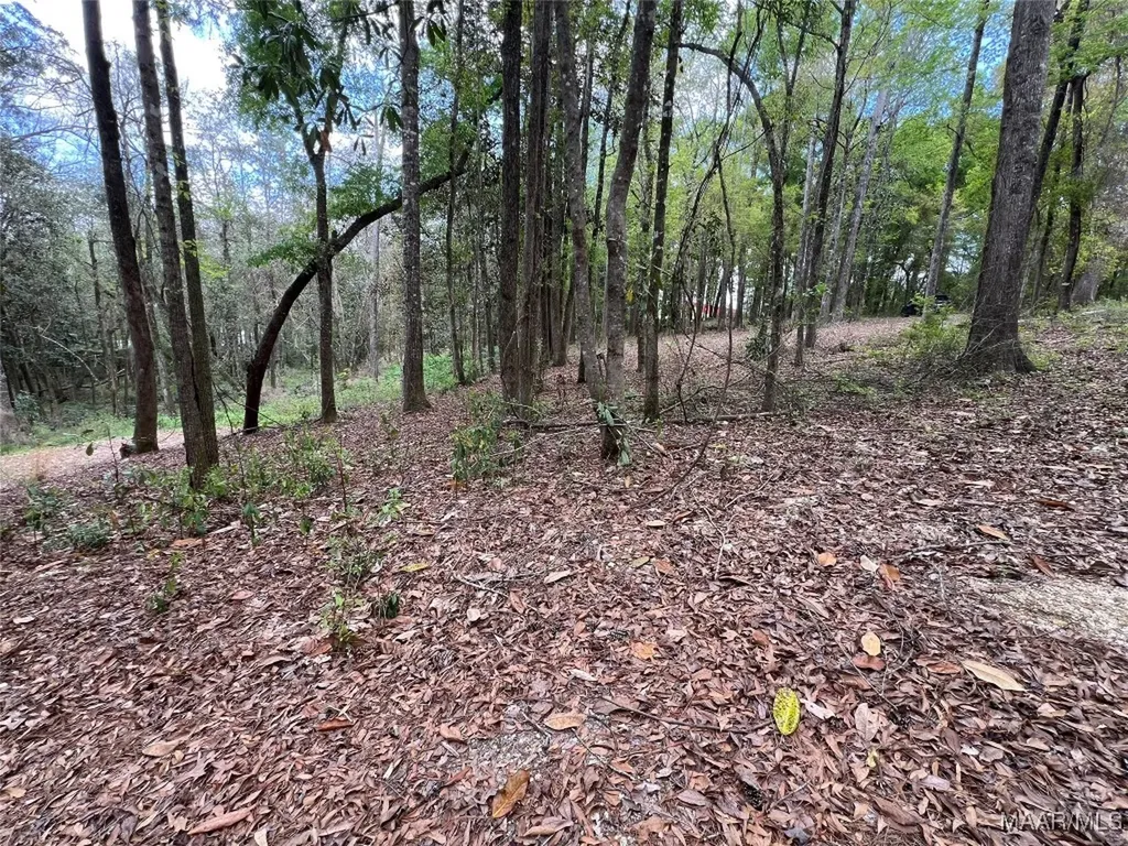 0 Driftwood Lane Andalusia AL 36421