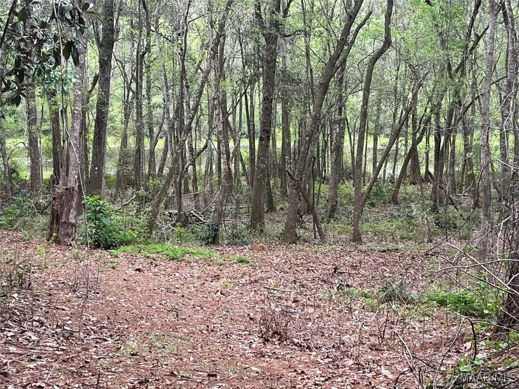 0 Driftwood Lane Andalusia AL 36421