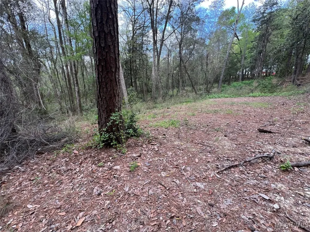 0 Driftwood Lane Andalusia AL 36421