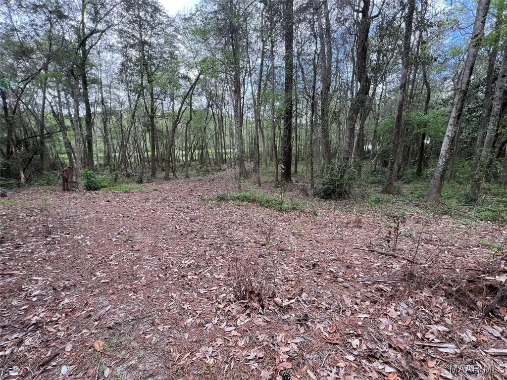 0 Driftwood Lane Andalusia AL 36421