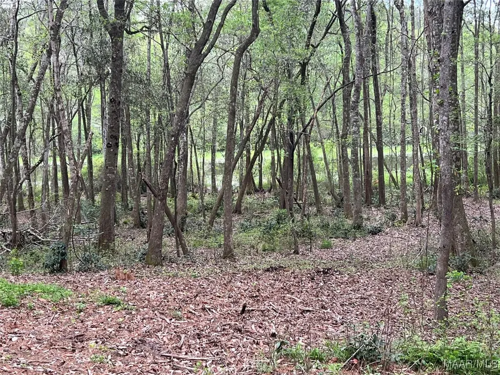 0 Driftwood Lane Andalusia AL 36421