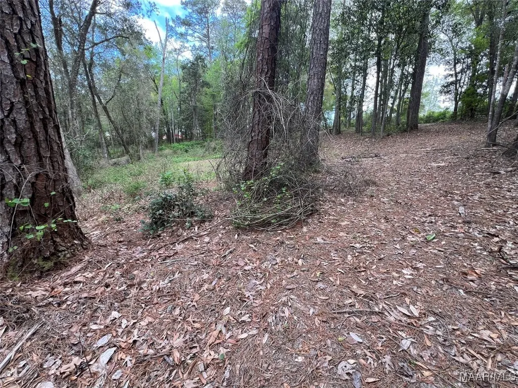 0 Driftwood Lane Andalusia AL 36421