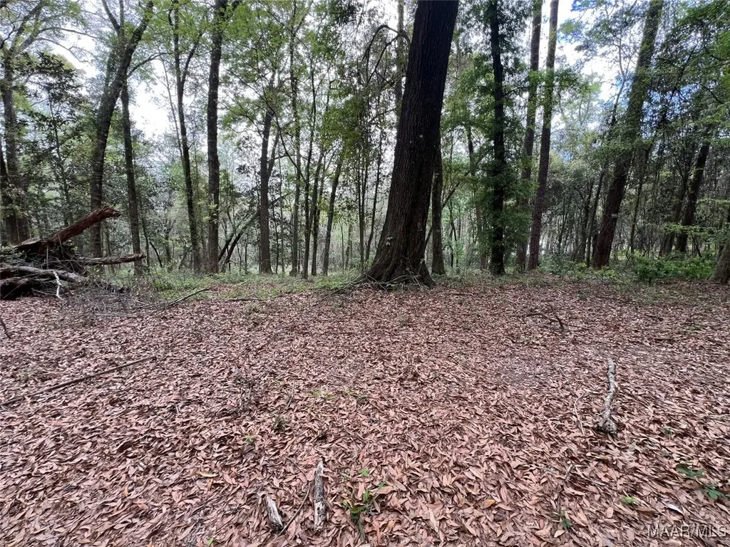 0 Driftwood Lane Andalusia AL 36421