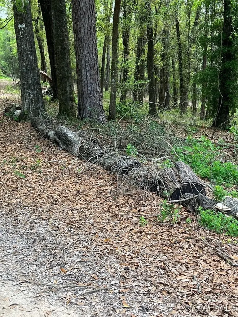 0 Driftwood Lane Andalusia AL 36421