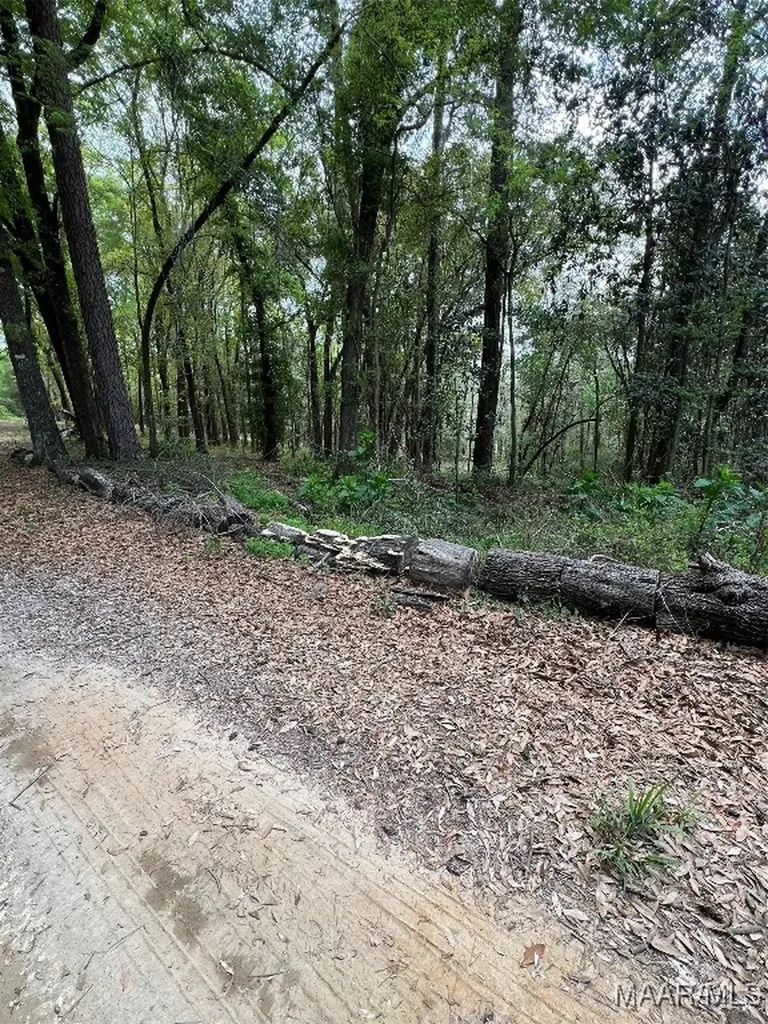 0 Driftwood Lane Andalusia AL 36421